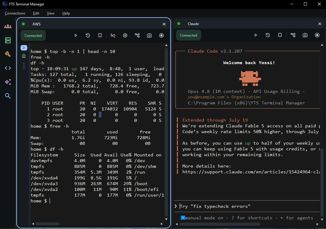 YTS Terminal Manager horizontal view — two live sessions side by side in one window
